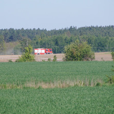 Pożar trzciny. Doszło do podpalenia