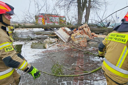 fot. Państwowa Straż Pożarna