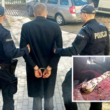 Boa i dwa pytony w mieszkaniu. 22-latek odpowie przed sądem