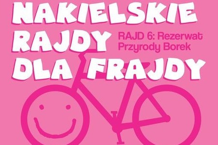 fot. Nakielski Sport Sp. z o.o.
