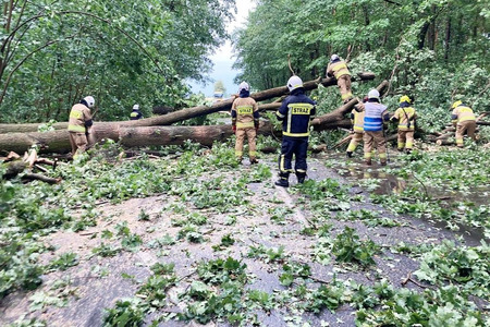 fot. OSP Dąbrowa Chełmińska