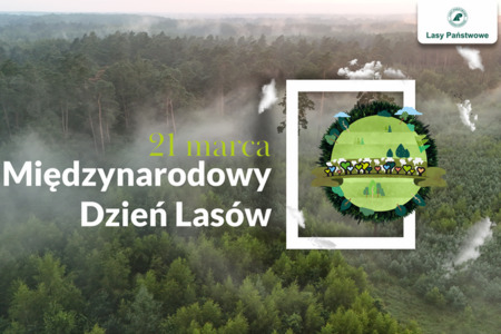 fot. Nadleśnictwo Szubin